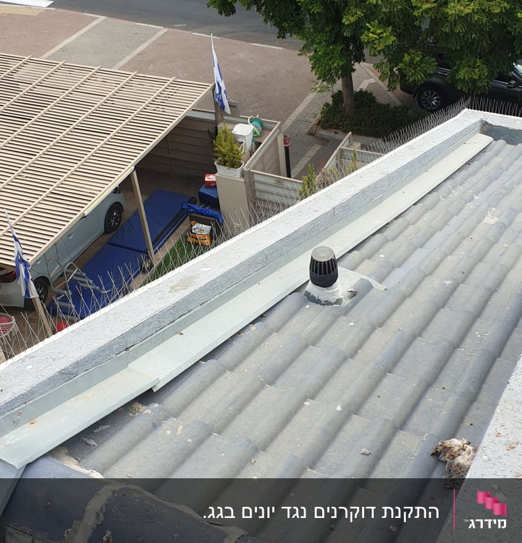 גג עם דוקרנים למניעת קינון יונים